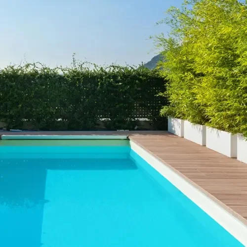 VESSEL pool edged by wood decking and layered greenery